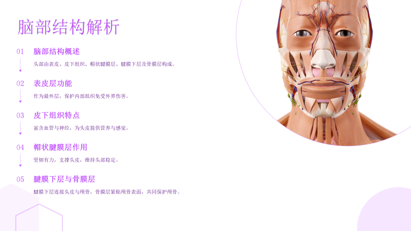 图片[6]-关于我们-百亿康